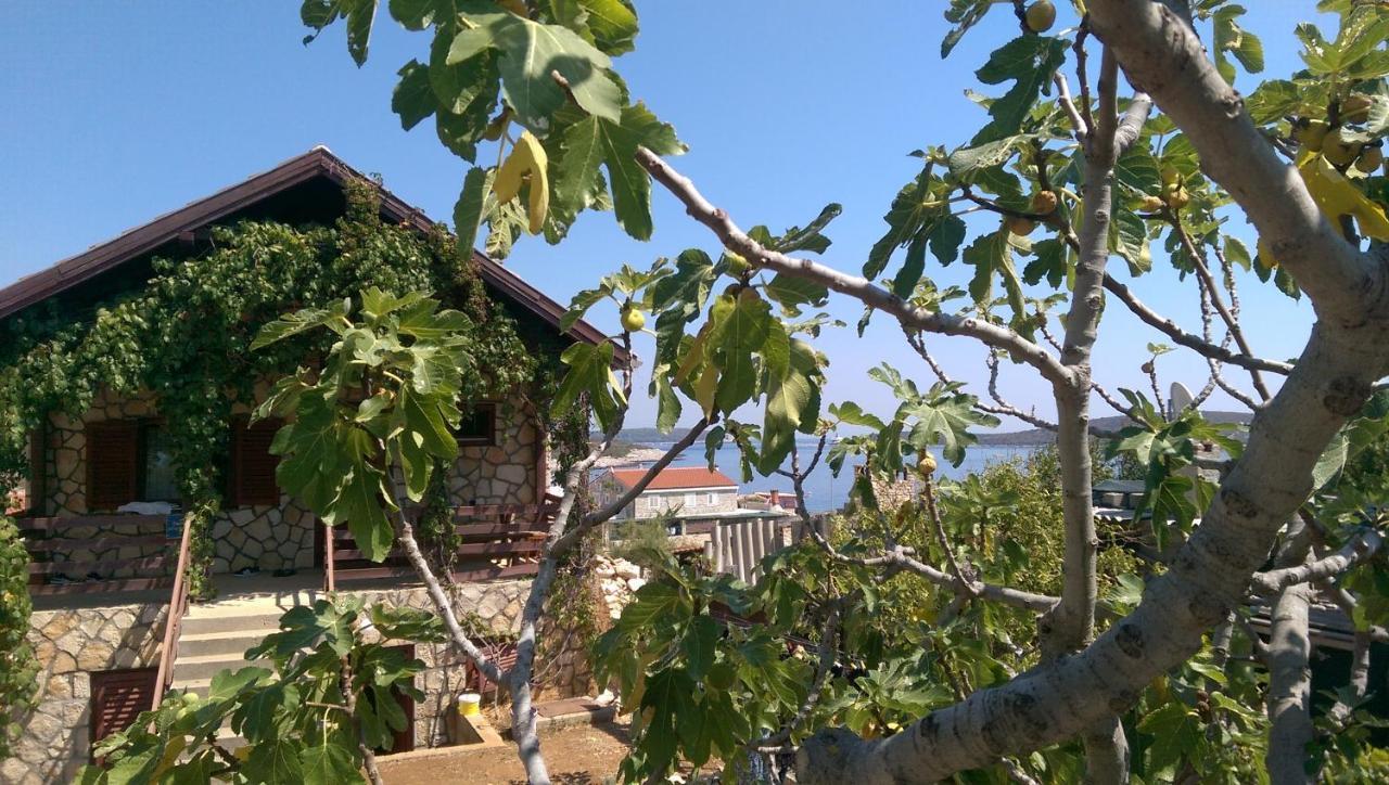 דירות רוקבאץ Apartman Knezevic מראה חיצוני תמונה